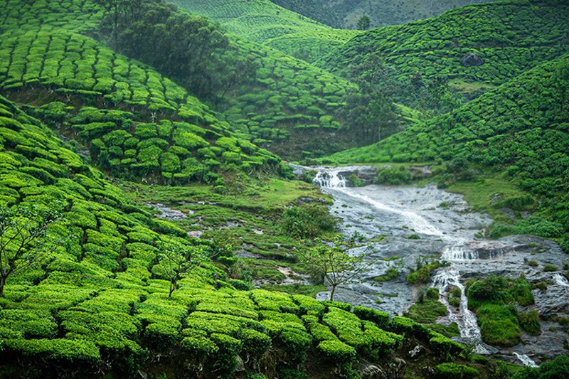 Madurai to Munnar 1 Day Tour Package