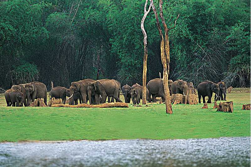 Madurai to Thekkady 1 Day Tour Package